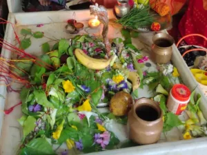 भक्त शिवलिंग पर बीलपत्र और फल चढ़ा रहे हैं