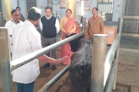 सीकर: जिला कलेक्टर ने पशु चिकित्सालय का किया औचक निरीक्षण, विभागीय अधिकारियों को लक्ष्यों की शत-प्रतिशत उपलब्धि हासिल करने के दिए निर्देश